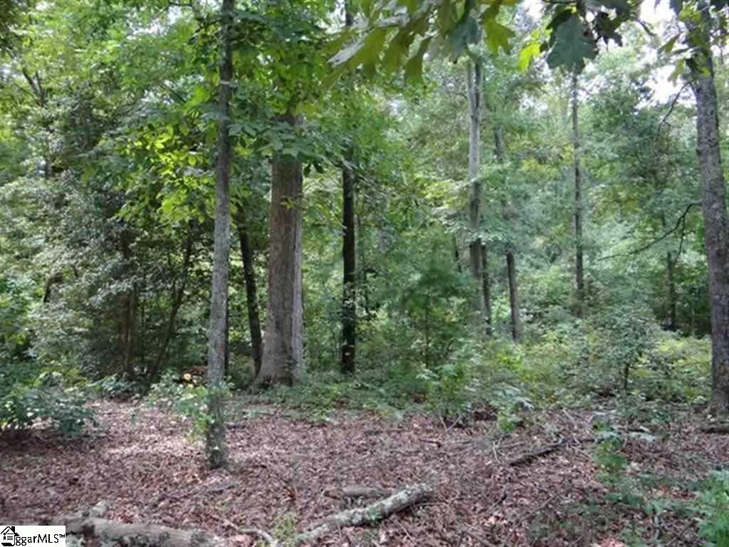 117 Robertson Road Taylors, SC 29687 - Photo 3 of 6 Gallery Image 3