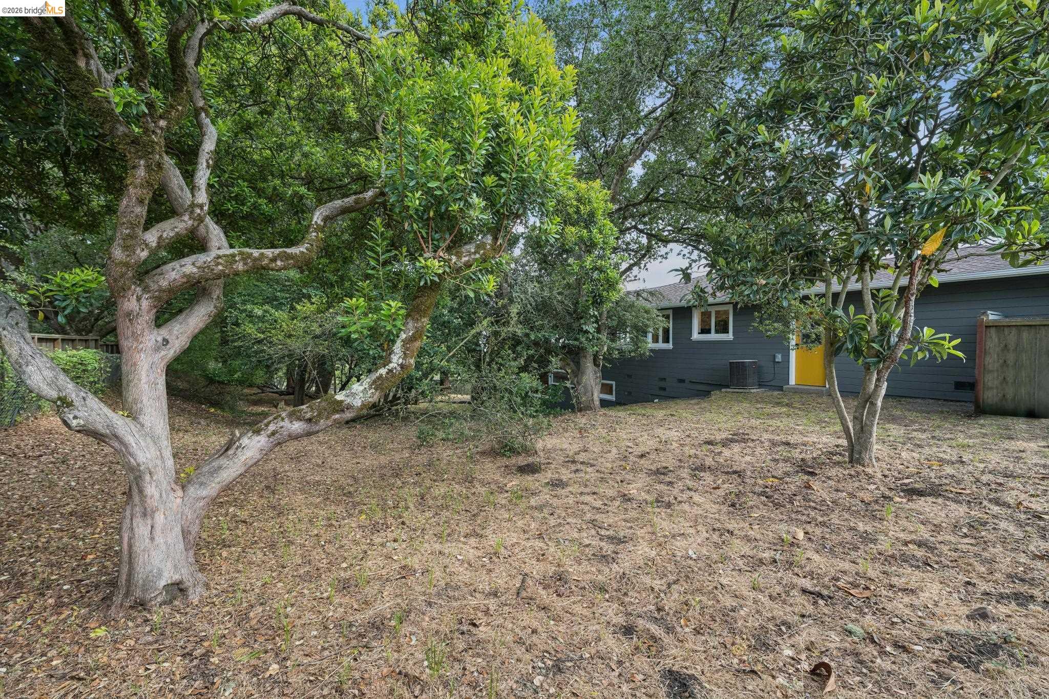 Summit Road Berkeley, CA 94708 - Photo 3 of 13