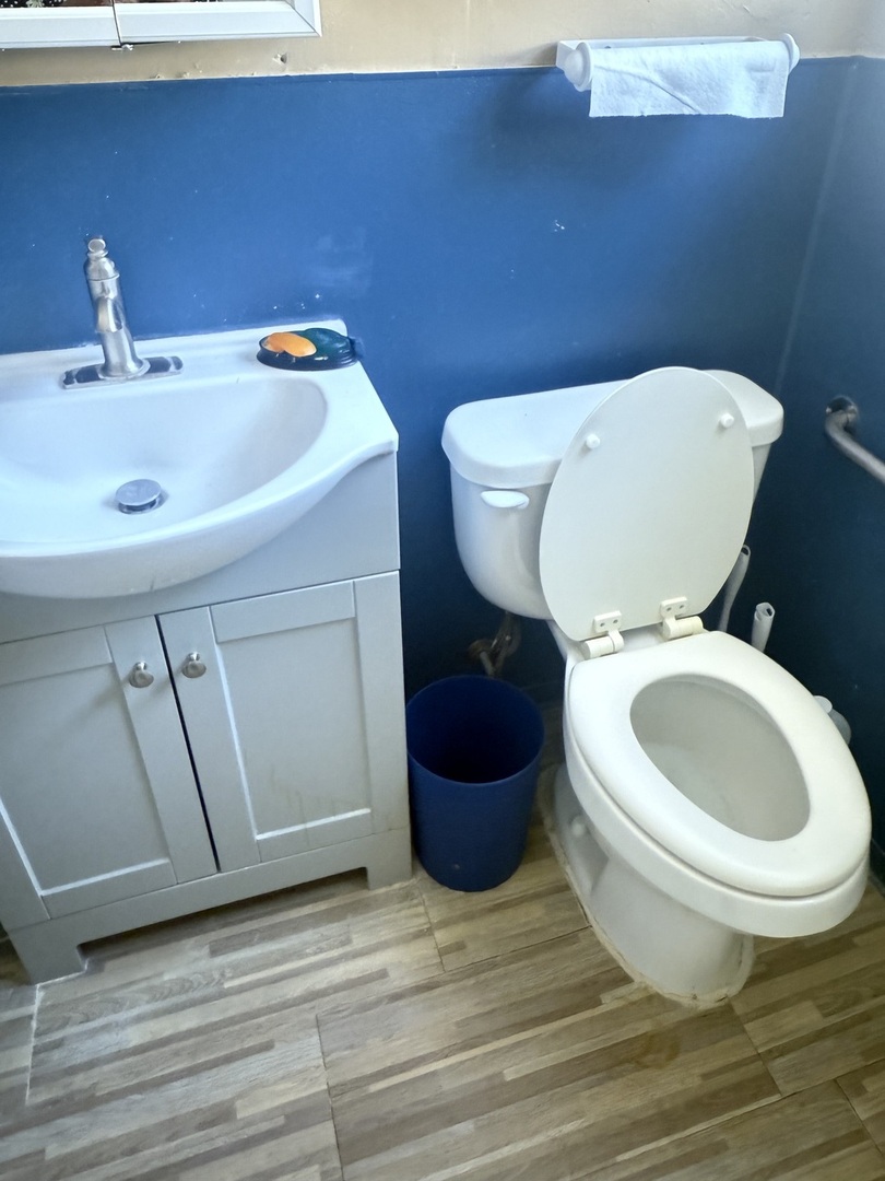 10553 South Calumet Avenue Chicago, IL 60628 - Photo 14 of 21 a bathroom with a toilet and a sink