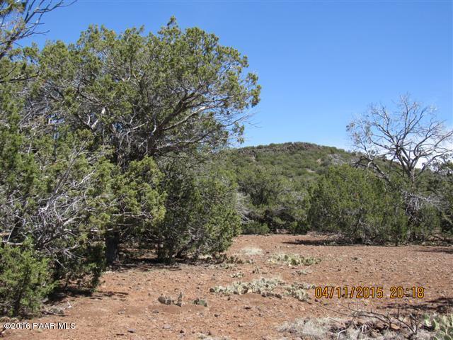1014 Ranch Road Williams, AZ 86046 - Photo 3 of 3 Pitner-5