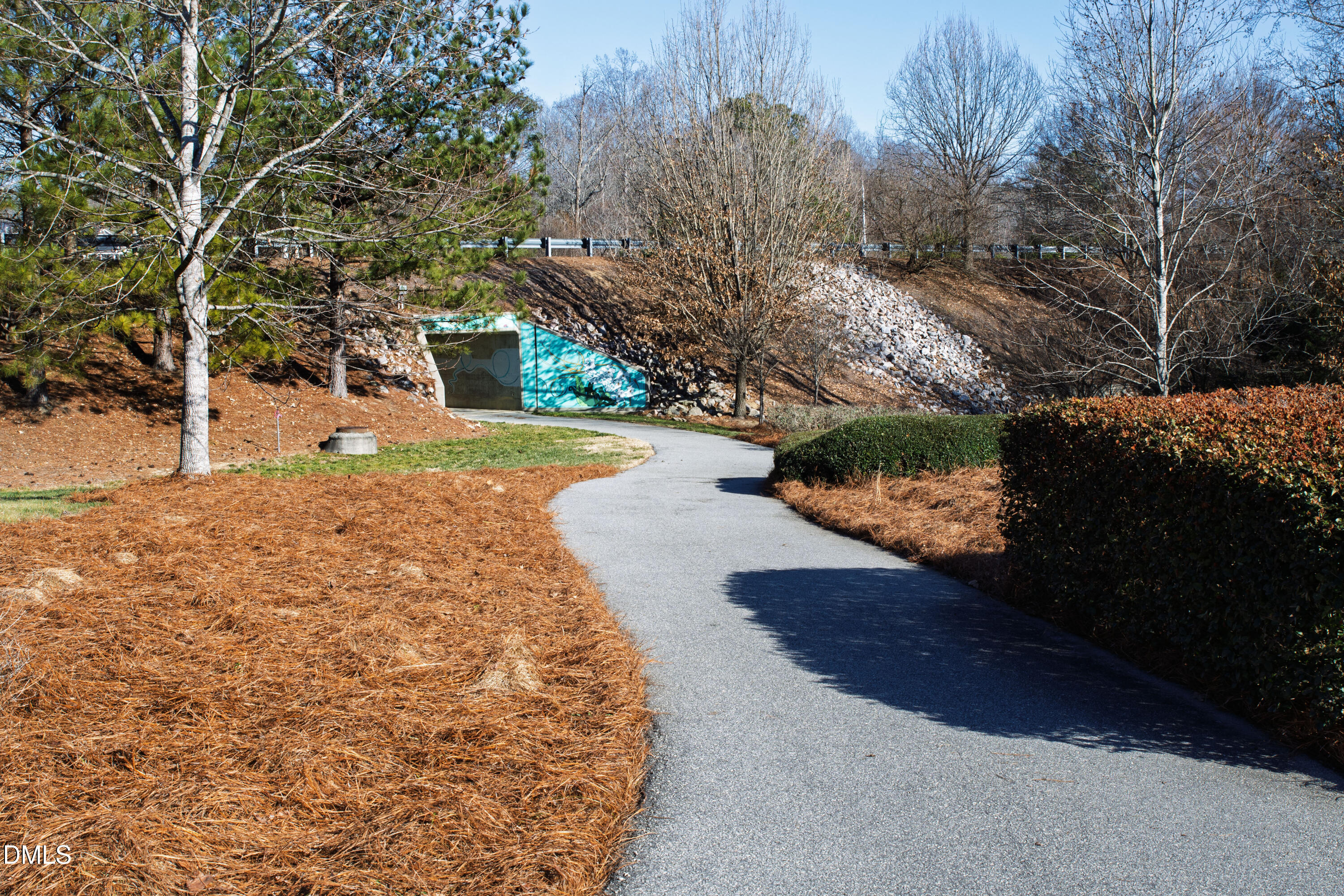 1509 Lone Prairie Drive Wendell, NC 27591 - Photo 66 of 100 Wendell Falls (60)