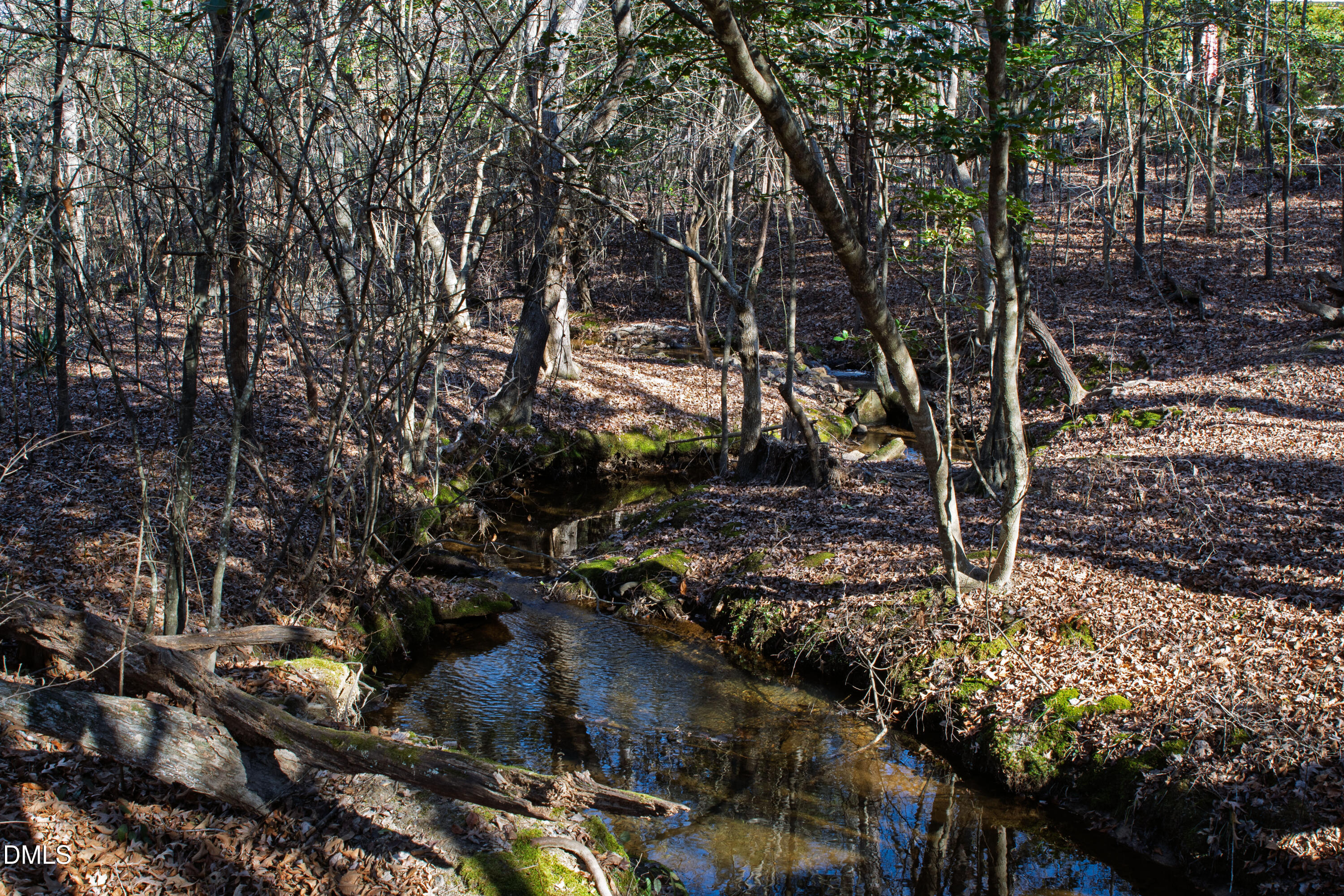 1509 Lone Prairie Drive Wendell, NC 27591 - Photo 98 of 100 Wendell Falls (64)