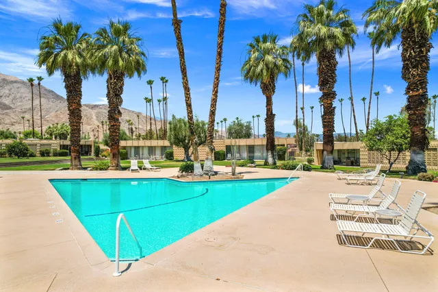 a view of a swimming pool with a lawn chairs and palm tree
