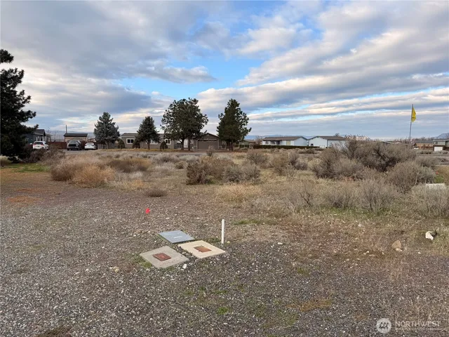a view of a dry yard with wooden fence