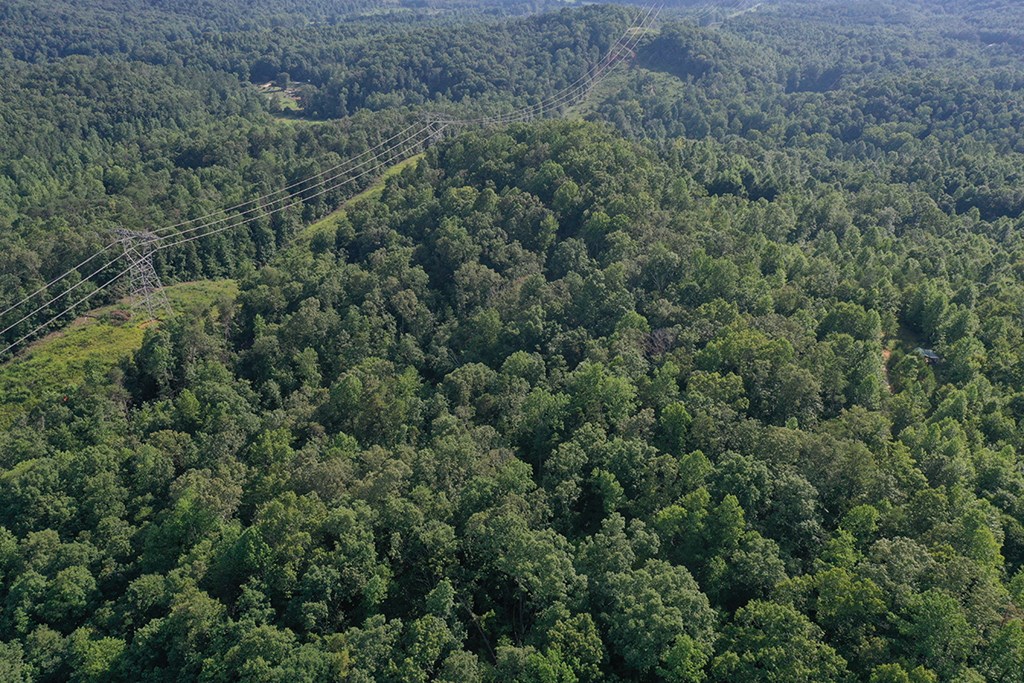 0 Daves Valley Road Pickens, SC 29671 - Photo 3 of 5