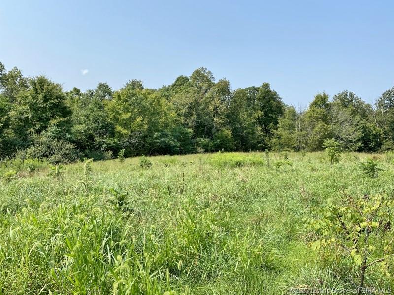 892 East Carnes Mill Road English, IN 47118 - Photo 79 of 88