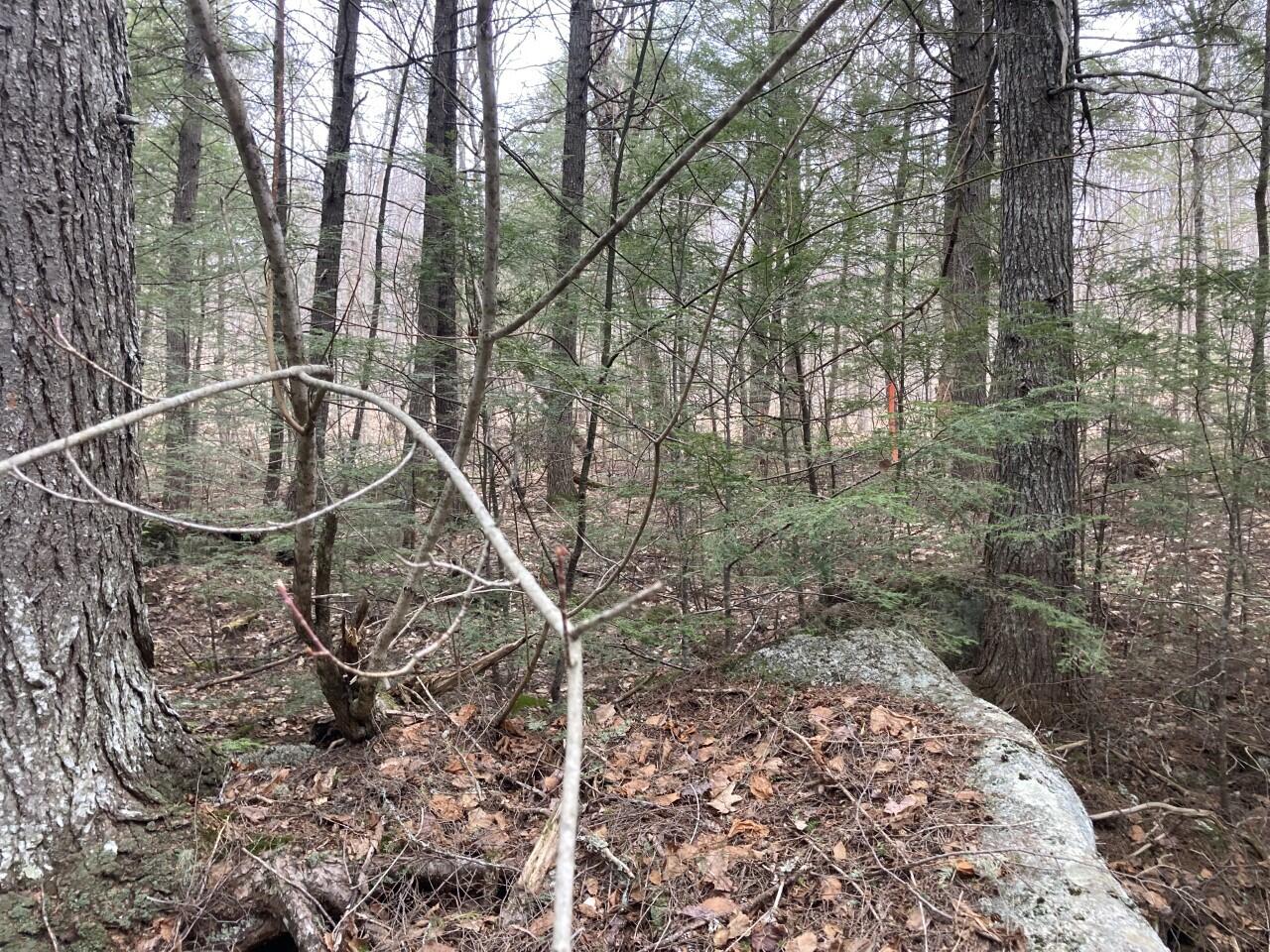 0 Thoroughfare Road Island Falls, ME 04747 - Photo 5 of 6 mattaw 6