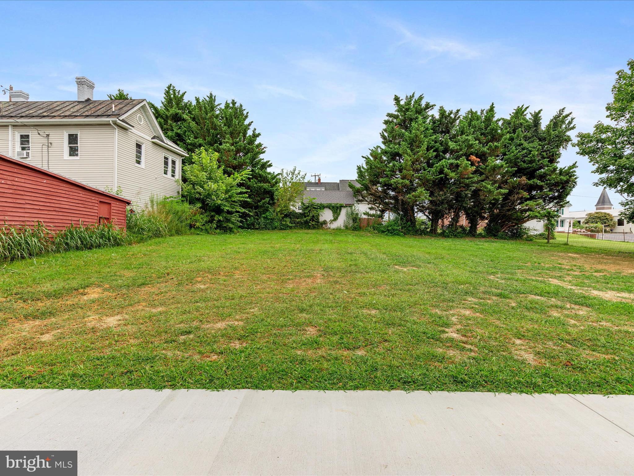 178 Bank Street Mount Jackson, VA 22842 - Photo 5 of 22 Back Yard View