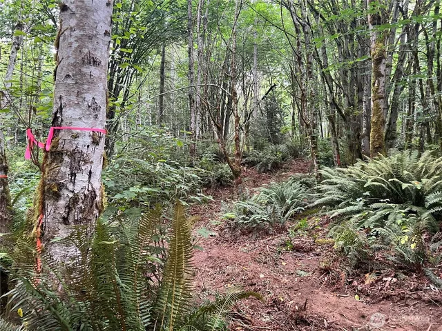a view of outdoor space and a yard