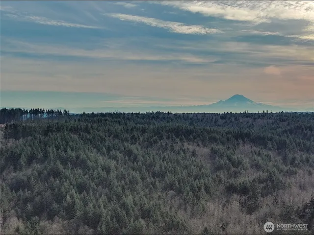 a view of a lake in middle of forest