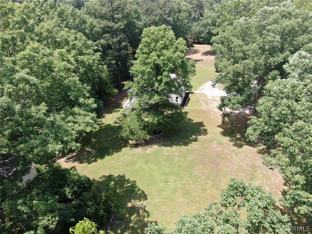 13571 Bailey Bridge Road Midlothian, VA 23112 - Photo 46 of 46 a view of a forest with a tree