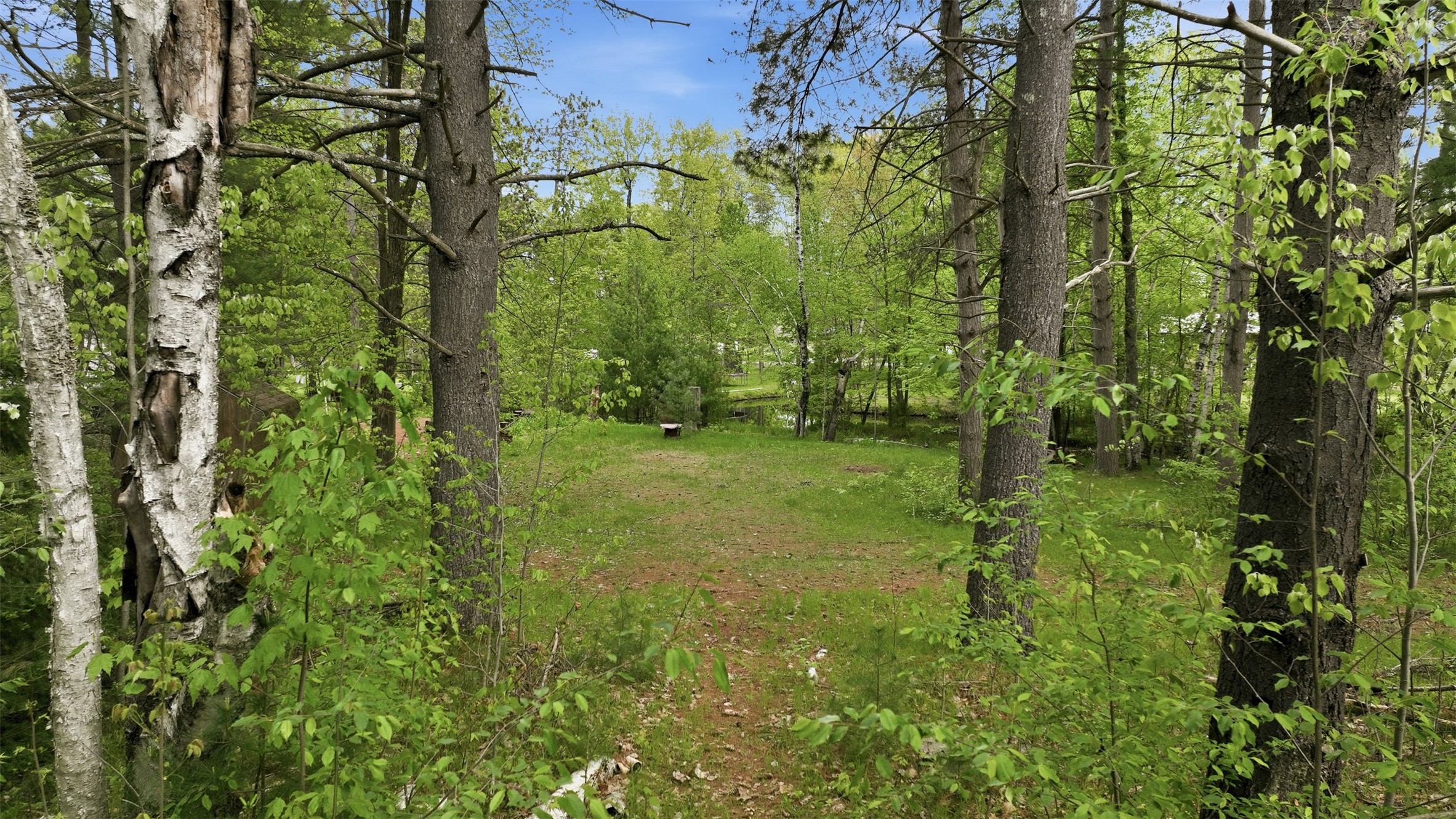26660 County Rd M Holcombe, WI 54745 - Photo 35 of 39