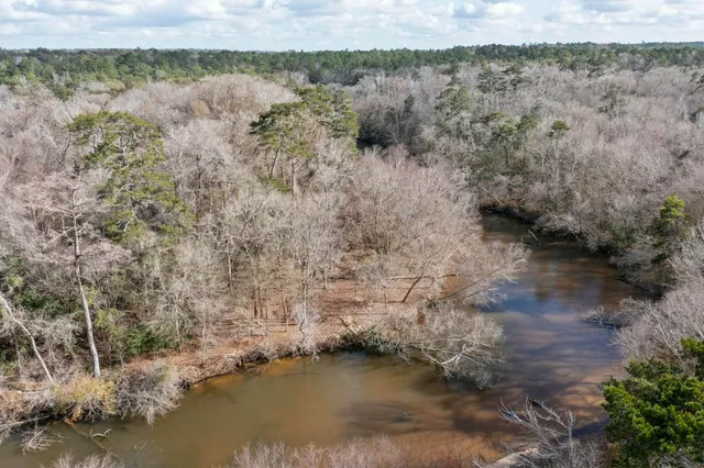 a view of a yard of a house