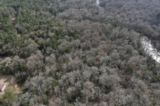 a view of a dry yard