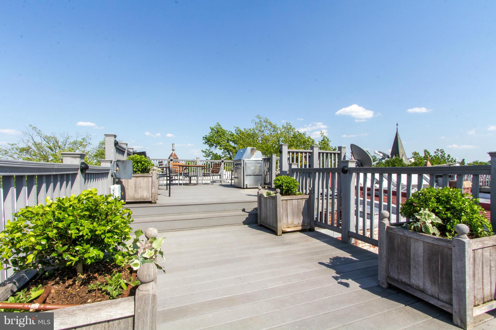 124 3rd Street Northeast Washington, DC 20002 - Photo 23 of 30 a view of a garden