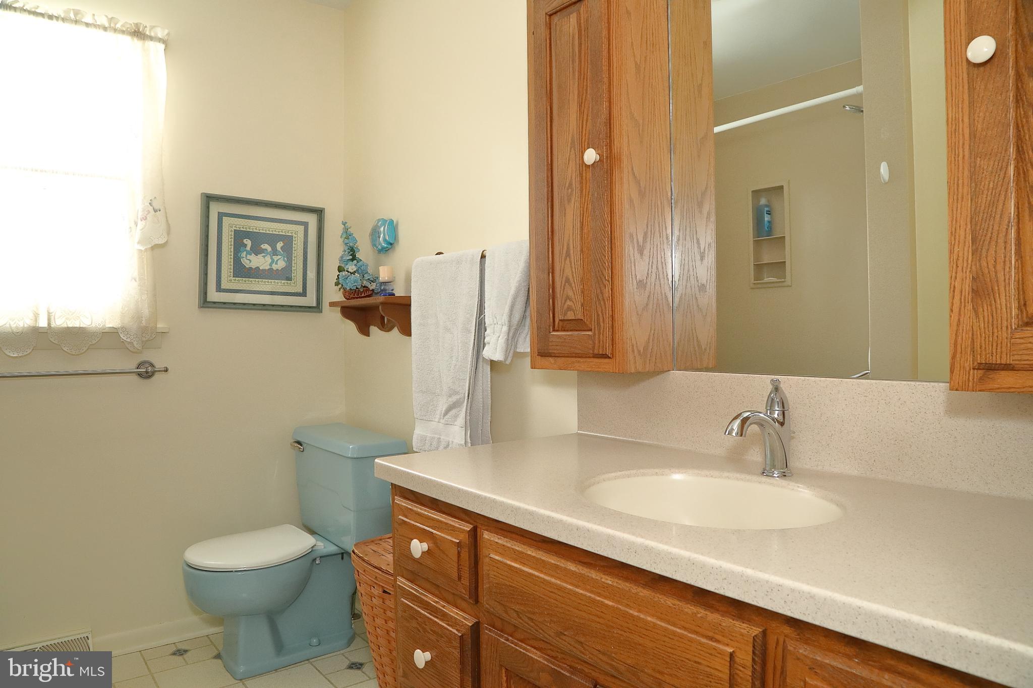 213 North Locust Street Lititz, PA 17543 - Photo 15 of 22 Bright and inviting bathroom with classic charm.