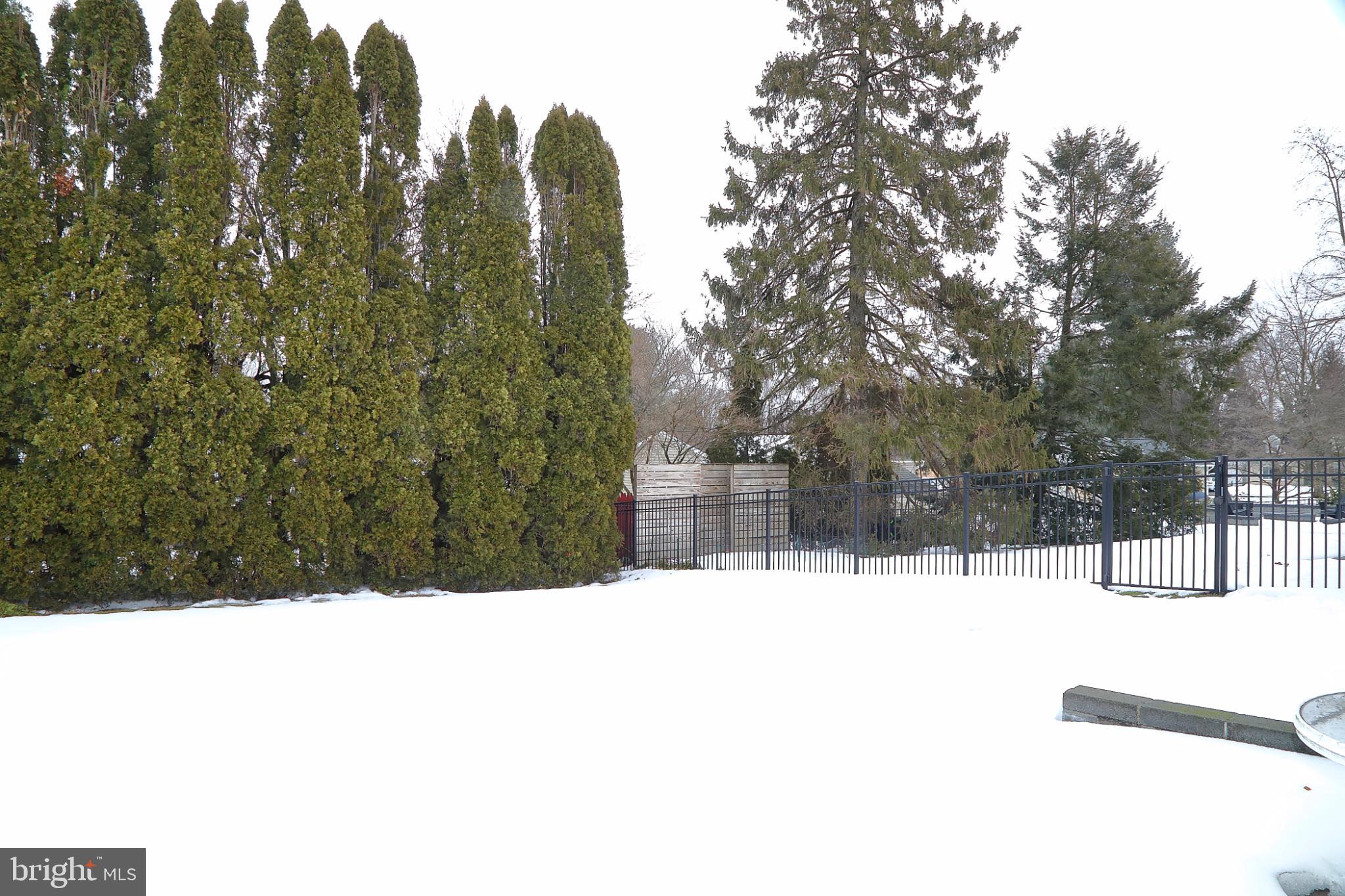 213 North Locust Street Lititz, PA 17543 - Photo 22 of 22 Serene winter landscape with evergreen backdrop.
