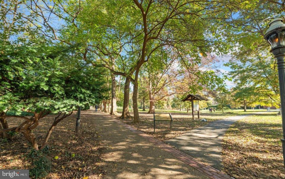 1664 Avon Place Northwest, Unit A Washington, DC 20007 - Photo 19 of 26