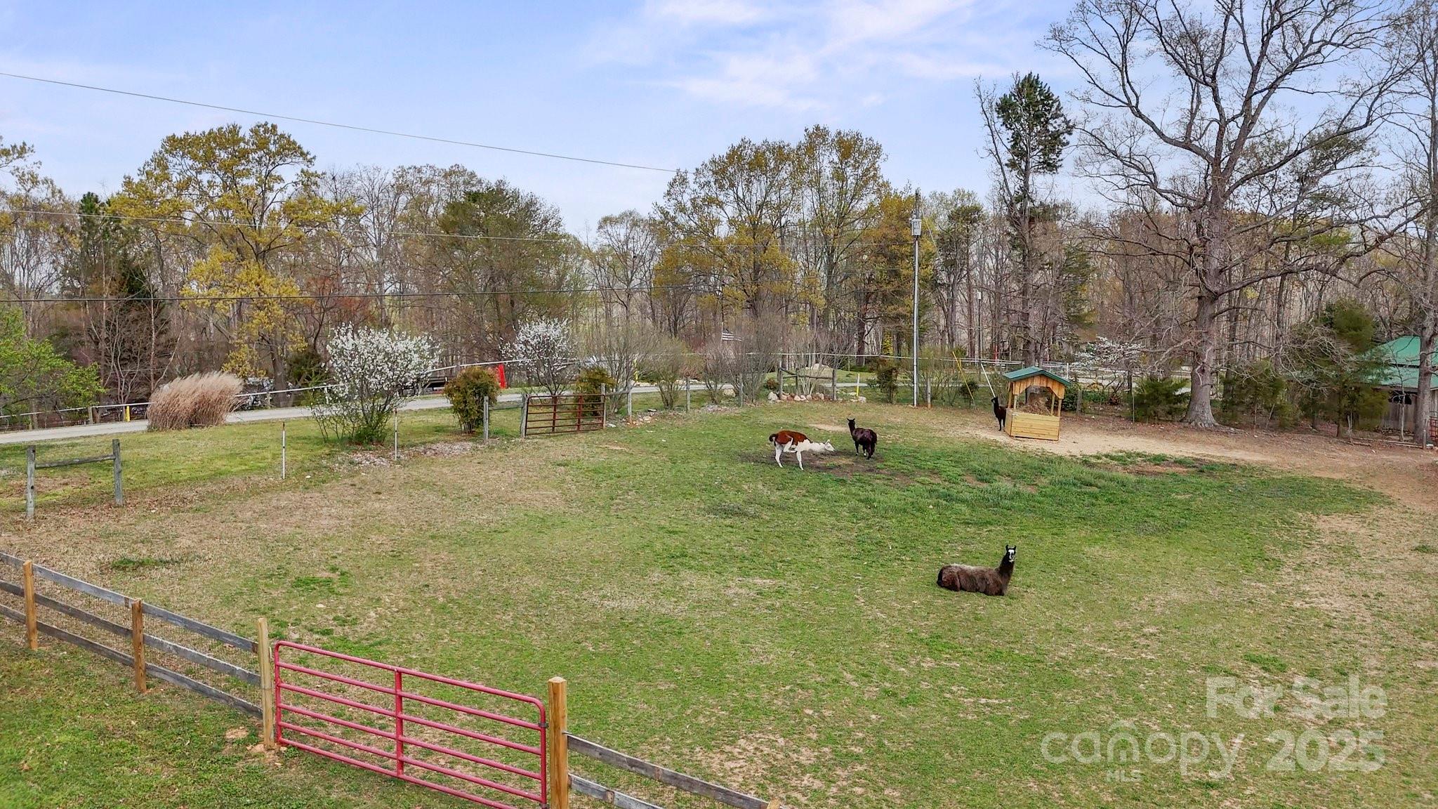 1620 London Road Mooresville, NC 28115 - Photo 22 of 37