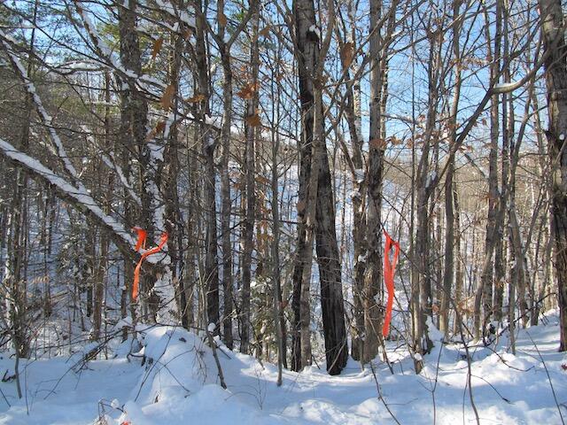 2 McAlister Road Buckfield, ME 04220 - Photo 20 of 35 IMG_0164