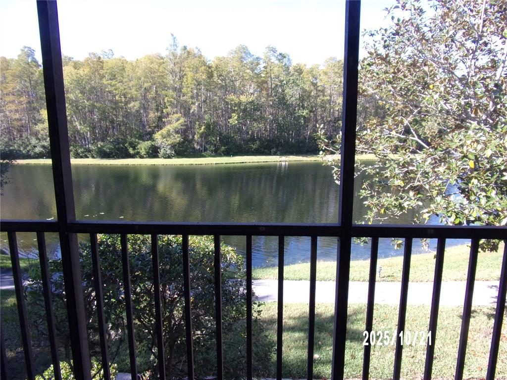 1345 Pine Ridge Circle East, Unit C2 Tarpon Springs, FL 34688 - Photo 11 of 22 a view of a forest from a balcony
