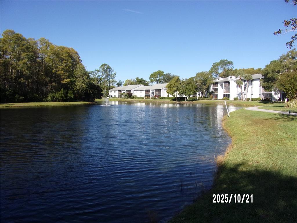 1345 Pine Ridge Circle East, Unit C2 Tarpon Springs, FL 34688 - Photo 2 of 22 a view of a lake with houses