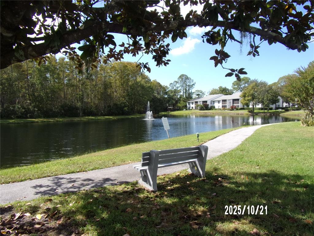 1345 Pine Ridge Circle East, Unit C2 Tarpon Springs, FL 34688 - Photo 22 of 22 a view of a lake