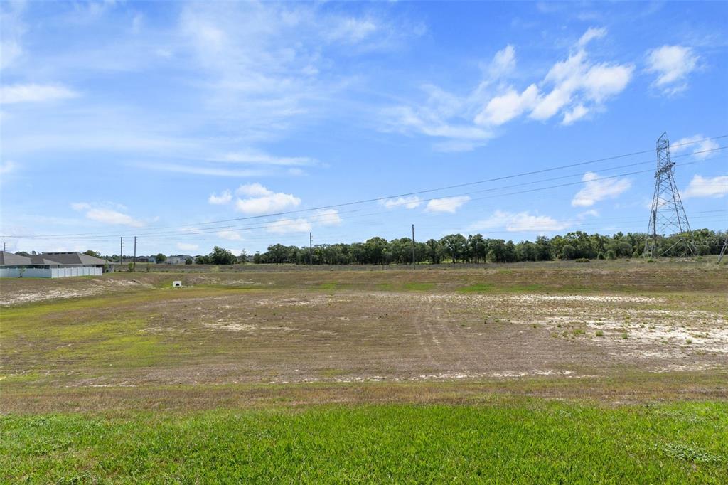 12492 Pine Bluff Street Spring Hill, FL 34609 - Photo 37 of 37