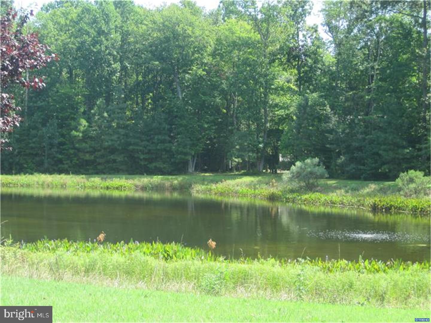 22501 Ridge Circle Lewes, DE 19958 - Photo 14 of 15 Gallery Image 14