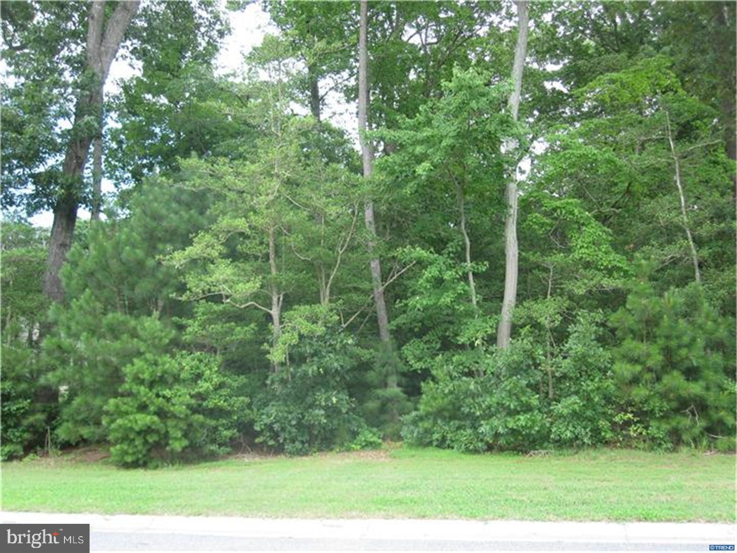 22501 Ridge Circle Lewes, DE 19958 - Photo 3 of 15 Gallery Image 3