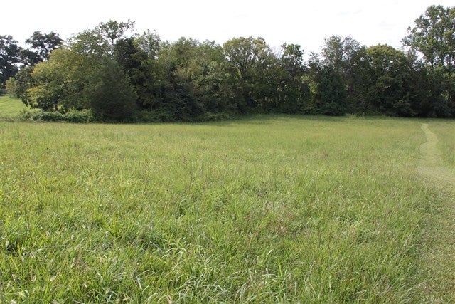 3196 Poplar Spring Road Glasgow, KY 42141 - Photo 18 of 19 Gallery Image 18