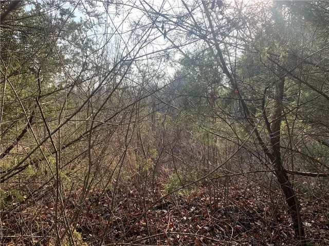 $6,000 | 30 Foxwood Drive, Linn Valley, KS 66040