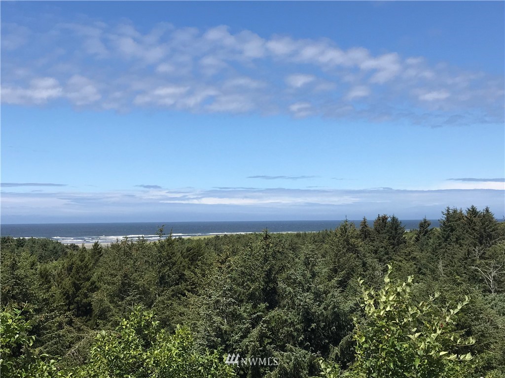 2815 Willows Road, Unit 211 Seaview, WA 98644 - Photo 5 of 20 Gallery Image 5