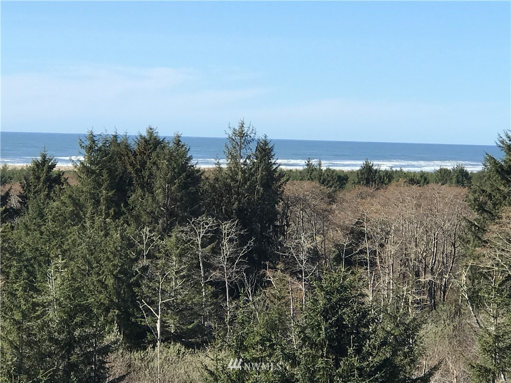 2815 Willows Road, Unit 211 Seaview, WA 98644 - Photo 6 of 20 Gallery Image 6