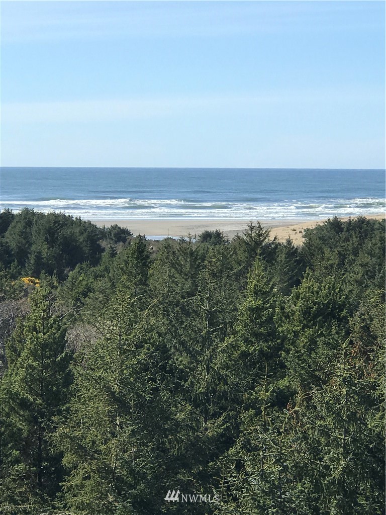 2815 Willows Road, Unit 211 Seaview, WA 98644 - Photo 7 of 20 Gallery Image 7