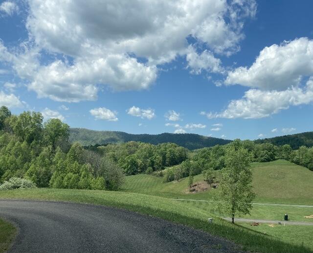 Lot 23-24 West Of Dry Hill Road, Unit 23 Butler, TN 37640 - Photo 24 of 35 DRYHILLPHOTO23