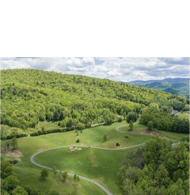 Lot 23-24 West Of Dry Hill Road, Unit 23 Butler, TN 37640 - Photo 26 of 35 DRYHILLW22