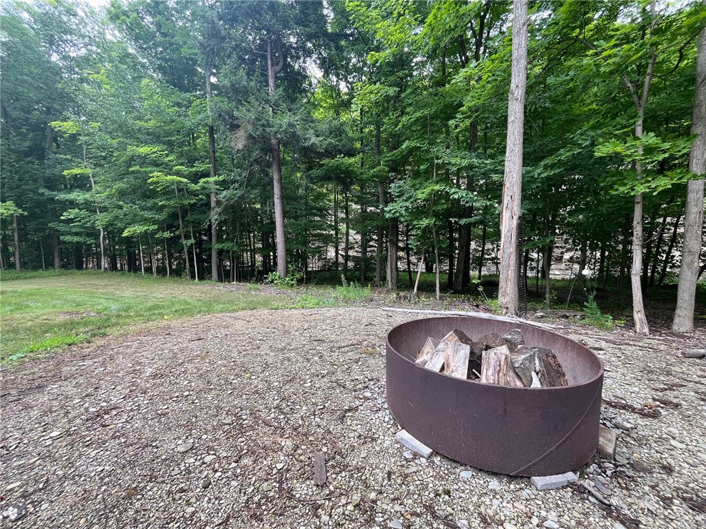 0 Stebbins Road South Silver Creek, NY 14136 - Photo 48 of 50