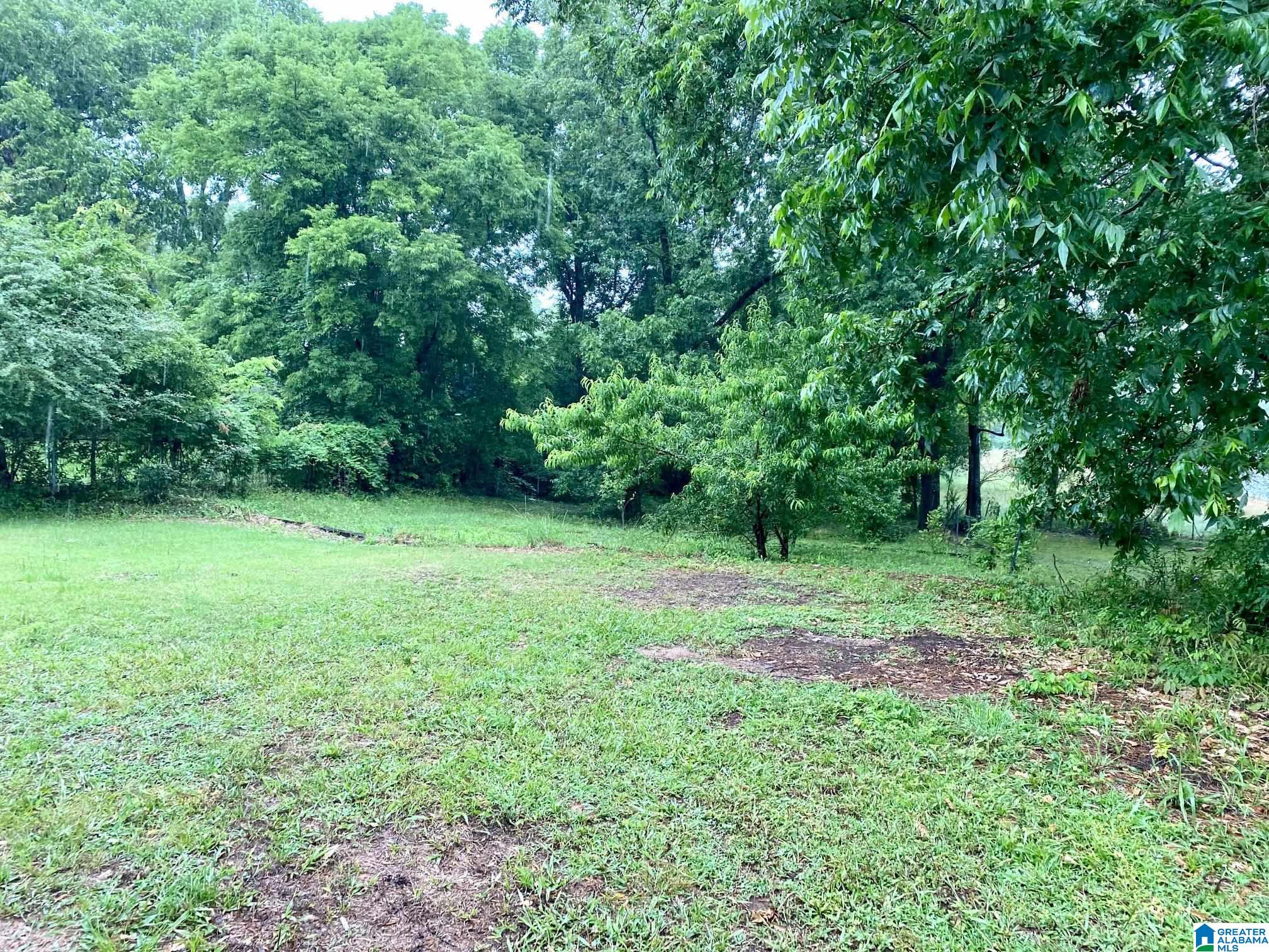 111 Dabbs Avenue Bessemer, AL 35023 - Photo 27 of 27