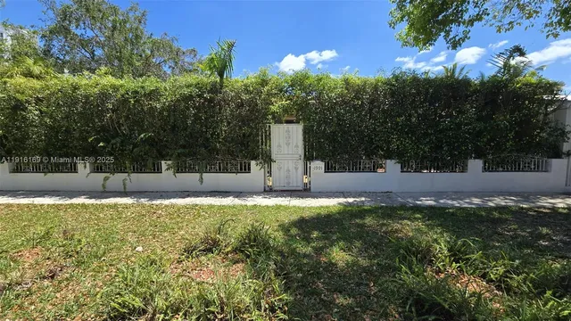 a view of a tree with a yard