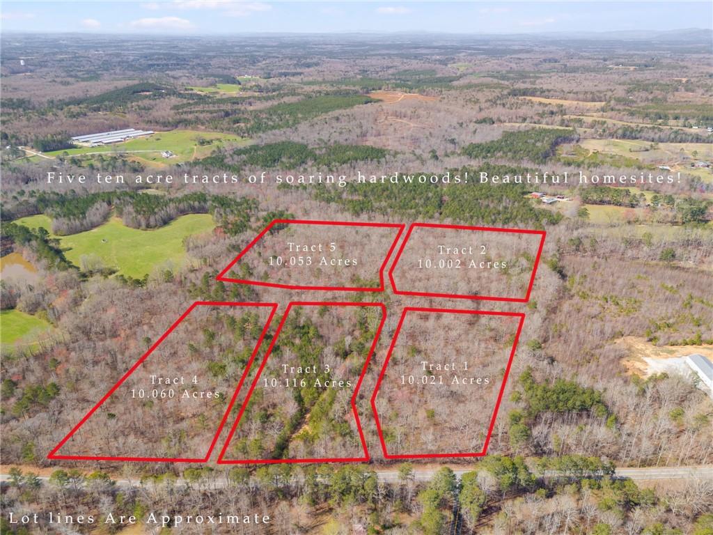 100 Buchanan Ga 30113 Buchanan, GA 30113 - Photo 2 of 9 an aerial view of a city