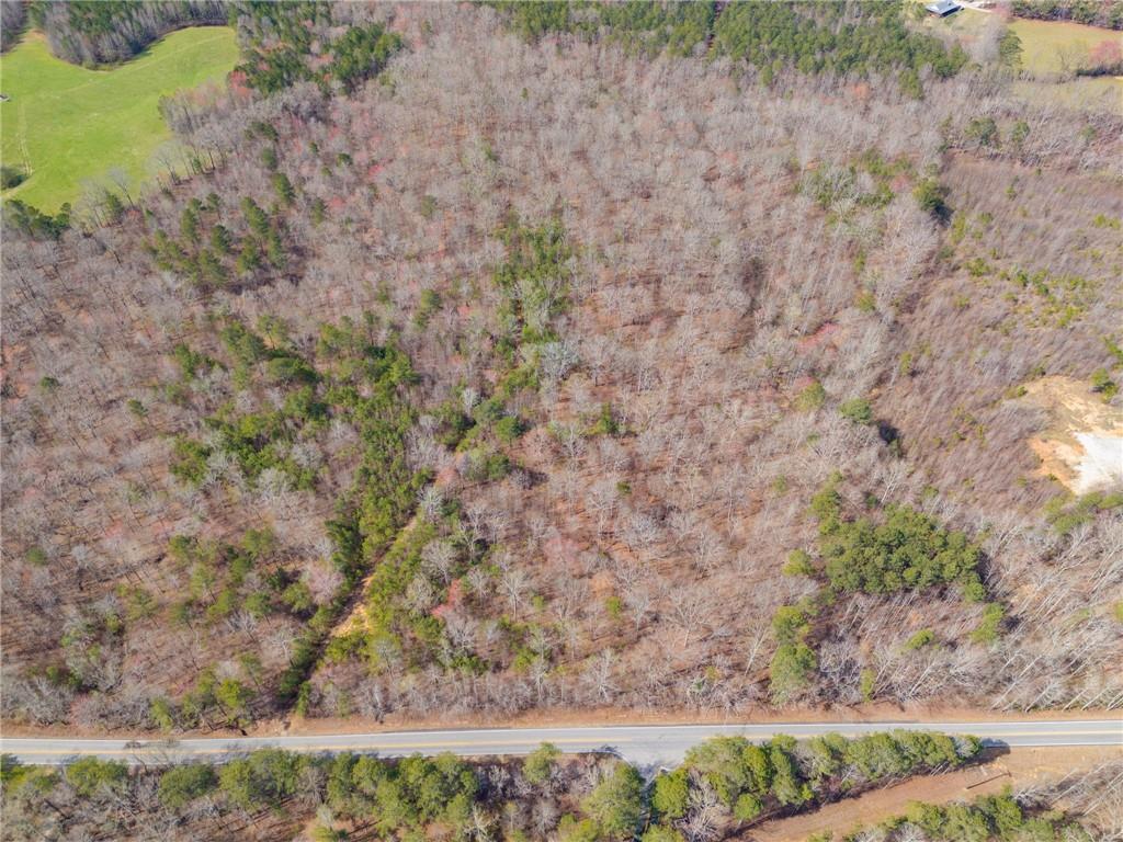 100 Buchanan Ga 30113 Buchanan, GA 30113 - Photo 5 of 9