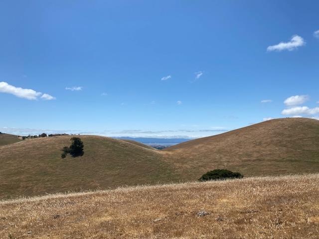 0 Vargas Road Fremont, CA 94539 - Photo 10 of 13 a view of ocean view
