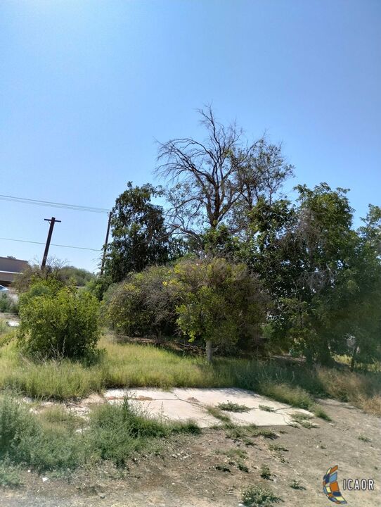0 Nance Road Imperial, CA 92251 - Photo 3 of 4 Gallery Image 3