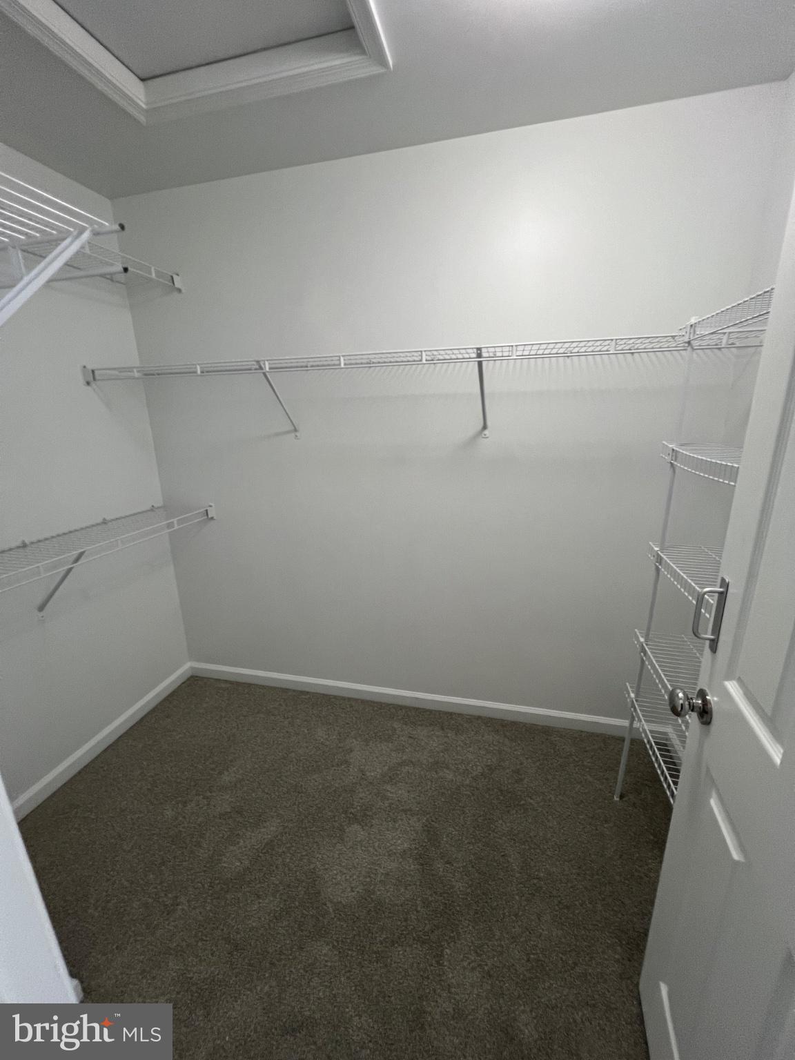17087 Gibson Road Dumfries, VA 22026 - Photo 20 of 29 Spacious primary walk in closet