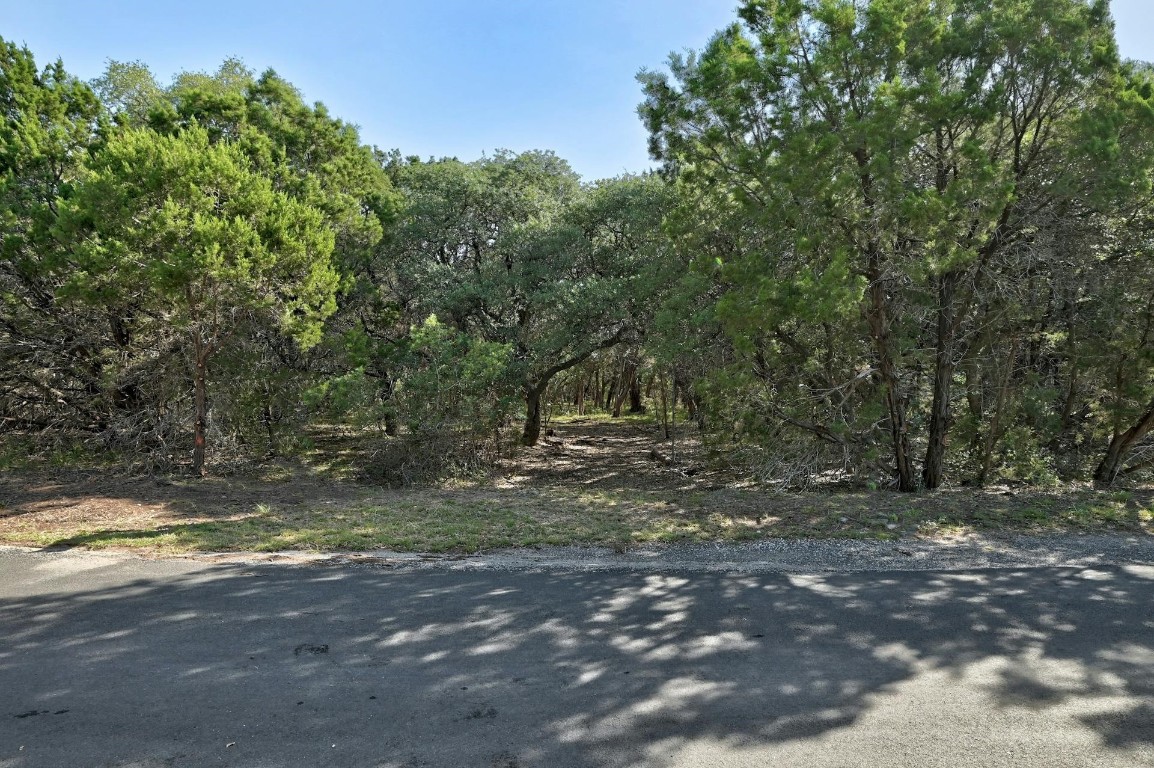 0 Ridgetop Terrace Austin, TX 78732 - Photo 4 of 12 a view of a yard with a tree