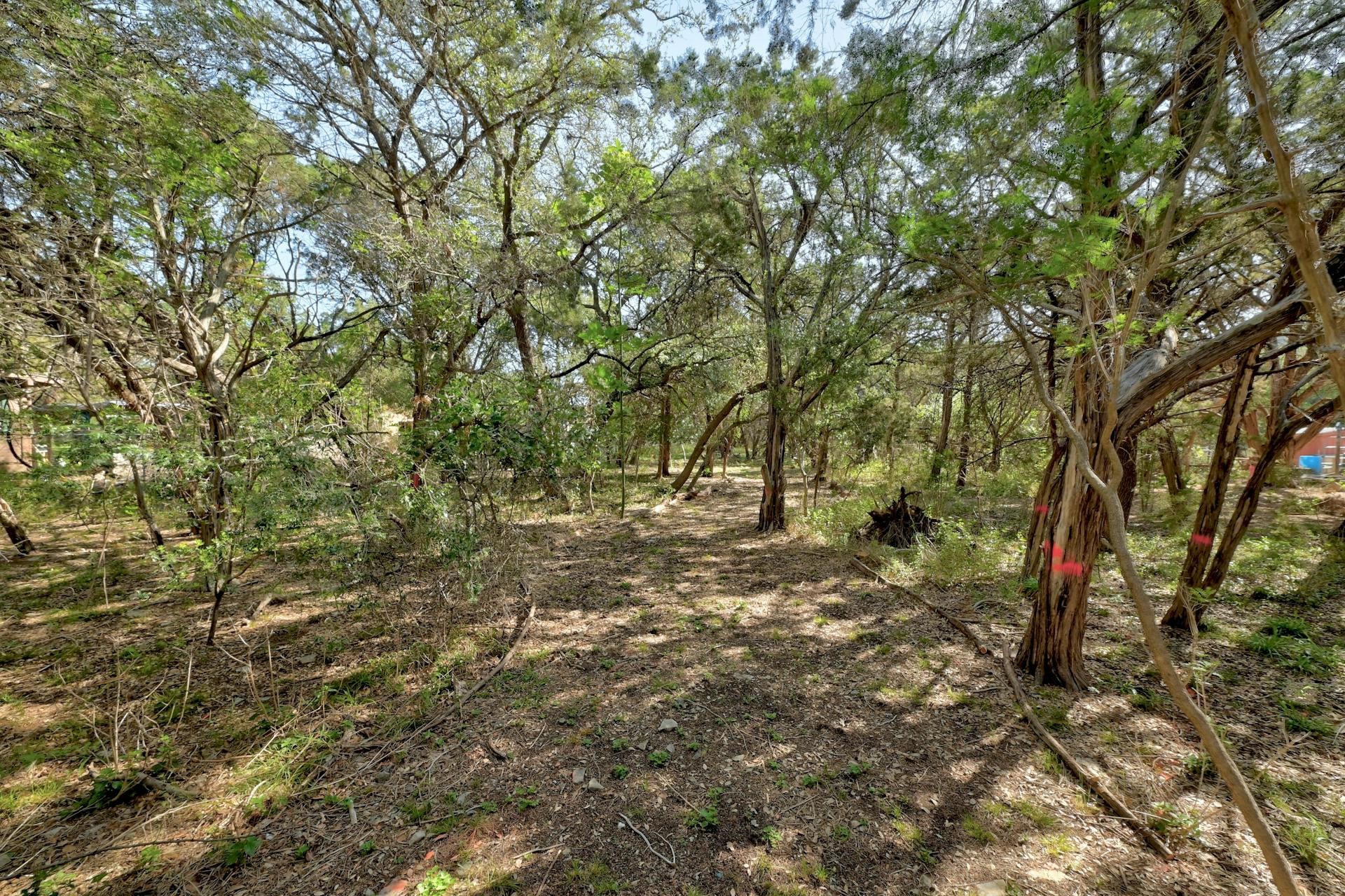 0 Ridgetop Terrace Austin, TX 78732 - Photo 5 of 12