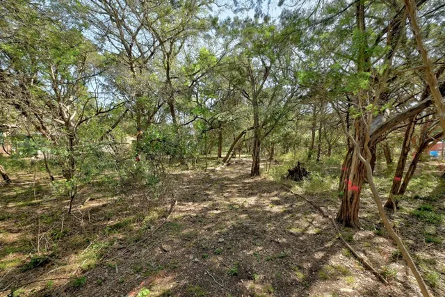 a view of a yard with a tree
