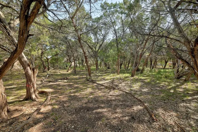 a view of outdoor space with trees