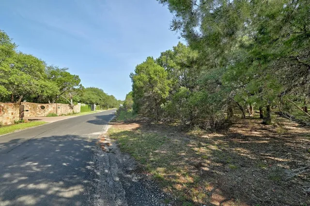 a view of road with large trees
